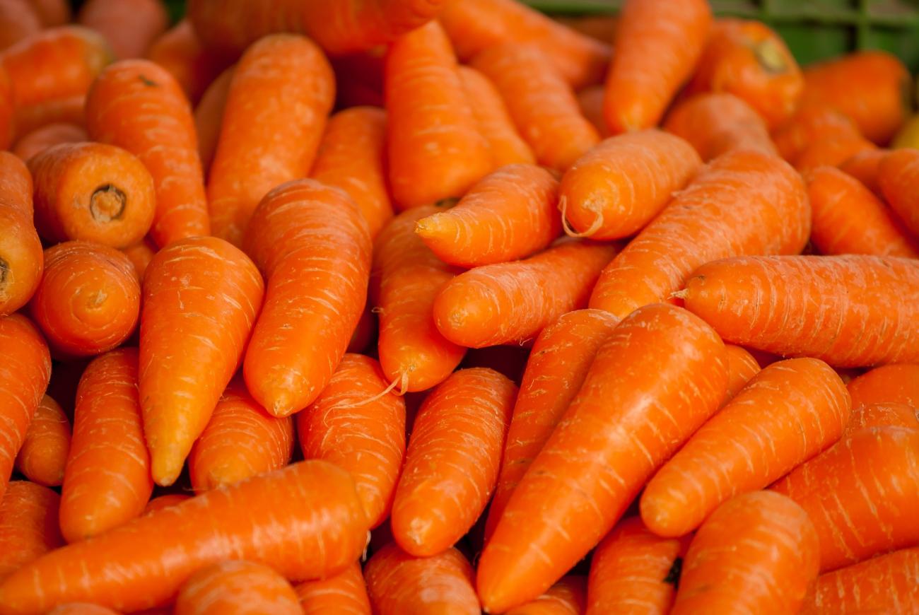 chantennay carrot
