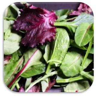 Baby Leaf Salad